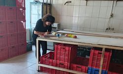 Söke’de riske dayalı gıda işletmeleri denetlendi