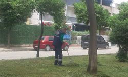 Efeler’in parkları Başkan Yetişkin’le yaza hazırlanıyor