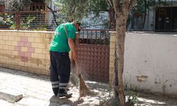 Efeler Belediyesi’nden kapsamlı çalışma