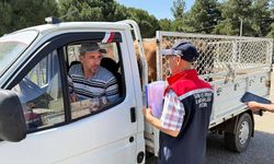 Koçarlı'da hayvan nakil araçları denetlendi