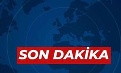 Nazilli’de  37 yaşındaki kişi kendini ağaca asarak canına kıydı