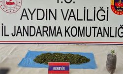 Aydın’da 36 şüpheli yakalandı