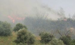 Aydın’daki yangın kontrol altına alındı