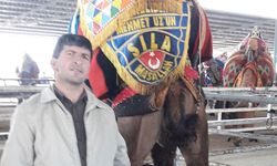 Çine’de çöp toplama aracından düşen işçi hayatını kaybetti