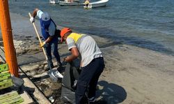 Didim Belediyesi Mavişehir Sahili'ni temizledi
