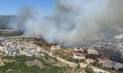 Didim’deki yangını söndürme çalışmaları sürüyor