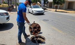 Efeler Belediyesi kent zararlılarına karşı mücadeleyi sürdürüyor