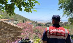 Doğanbey’de orman yangınlarına dikkat çekildi