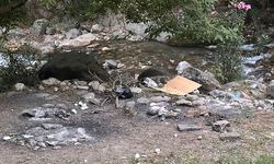 Aydın’da ormana girip mangal yakan 3 kişiye ceza