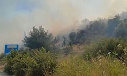 Söke’deki yangın ormana sıçradı