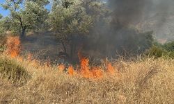 Aydın’da zirai alanda yangın çıktı