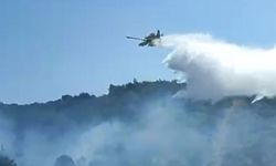 Kuşadası'nda orman yangını