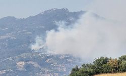Aydın’da orman yangını
