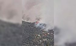 Söke’de orman yangını