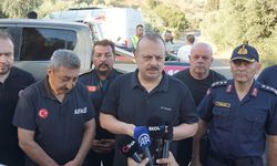 Aydın Valisi Canbolat: "Yangın kontrol altına alındı"