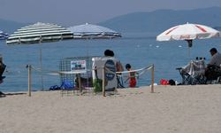 Kuşadası'nda ilk caretta caretta yuvası belirlendi