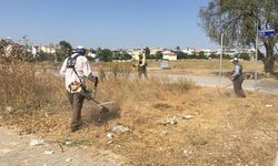 Didim Belediyesi Park ve Bahçeler Müdürlüğü çalışmalarını aralıksız sürdürüyor