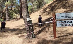 Aydın'da jandarmadan ‘orman’ nöbeti