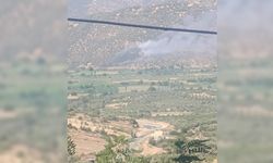 Nazilli’de makilik ve zirai alanda yangın