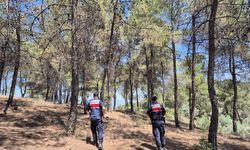 Jandarmanın ‘orman’ nöbeti aralıksız devam ediyor