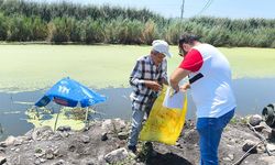 Söke’de su ürünleri denetimi yapıldı