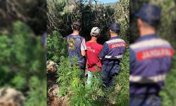 Aydın'da narkotik madde operasyonu