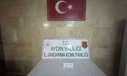 Aydın'da bir kişi narkotik maddeyle yakalandı