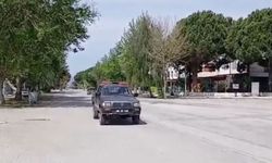 Milli Park’ta yaban domuzlarıyla etkin mücadele devam ediyor