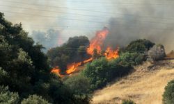 Yangına 6 uçak ve 8 helikopter müdahale ediyor