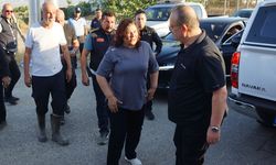 "Tüm kurum ve kuruluşlarla birlikte yangını söndürmeye çalıştık"