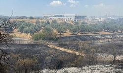 Çift sürülen tarla yangında zarar görmedi