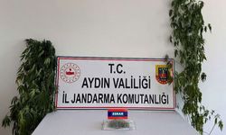 Aydın’da zehir operasyonu: 13 şüpheli yakalandı