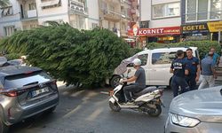 Aydın’da ağaç aracın üzerine devrildi