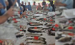 Didim’de ilk balık mezatı gerçekleştirildi