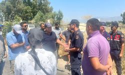 Aydınlı çiftçiler isyan etti