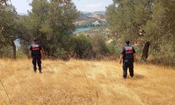 Aydın’da ormanlar jandarma gözetiminde