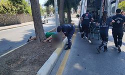Kuşadası’nda motosiklet ağaca çarptı: 1 ağır yaralı