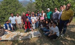 Köşk'te gönüllü hasat şenliği gerçekleştirildi