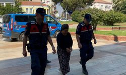Aydın’daki yangında yeni gelişme