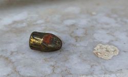 Yemek yerken bacağına yorgun mermi isabet etti