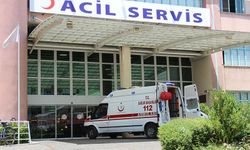 Aydın’da otomobil sulama kanalına çarptı: 1 ölü