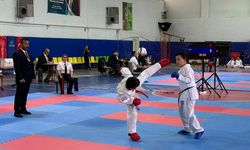 Aydın'da  genç sporcular hünerlerini sergiledi