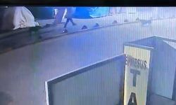 Aydın’da astsubay sokak köpeğini tabancayla vurdu