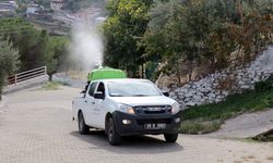 Bozdoğan’da karasinekle mücadele