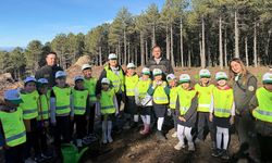 Çineli öğrencilere orman faaliyetleri anlatıldı