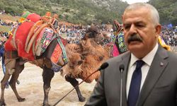 Deve güreşlerine yeni düzenleme