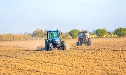 Didim’de toprağın bereketi halkla buluşuyor