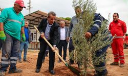 Başkan Yetişkin’den Efeler’e yeşil dokunuş