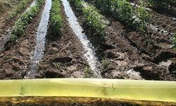 Aydın Valiliği’nden susuzluk uyarısı