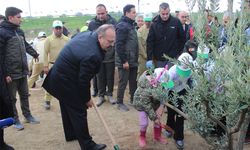 Aydın’da 7 bin fidan toprakla buluştu